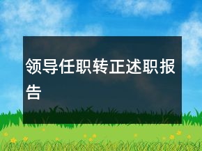 领导任职转正述职报告