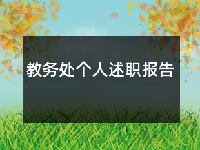 教务处个人述职报告