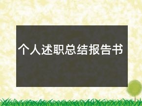 个人述职总结报告书