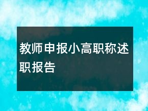 教师申报小高职称述职报告