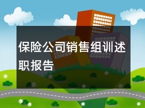 保险公司销售组训述职报告