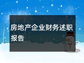 房地产企业财务述职报告