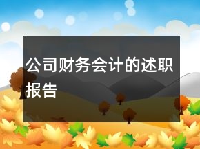 公司财务会计的述职报告