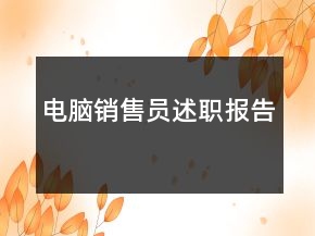 电脑销售员述职报告