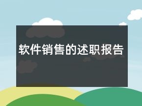 软件销售的述职报告