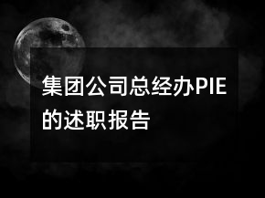 集团公司总经办PIE的述职报告
