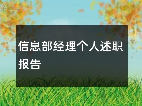 信息部经理个人述职报告