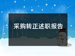 采购转正述职报告