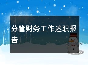 分管财务工作述职报告
