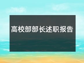 高校部部长述职报告