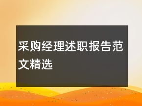 采购经理述职报告范文精选