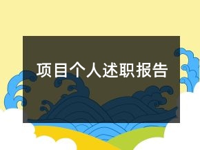 项目个人述职报告