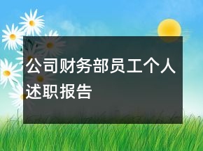 公司财务部员工个人述职报告