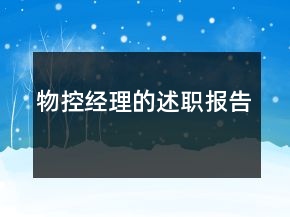 物控经理的述职报告