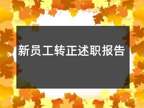 新员工转正述职报告