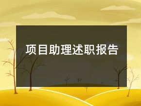 项目助理述职报告
