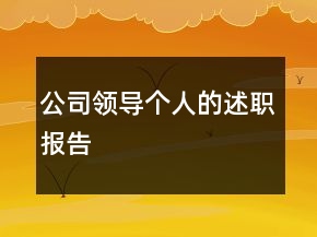 公司领导个人的述职报告