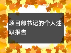 项目部书记的个人述职报告