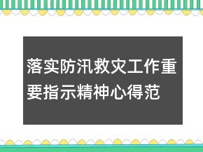 落实防汛救灾工作重要指示精神心得范文