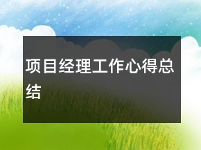 项目经理工作心得总结