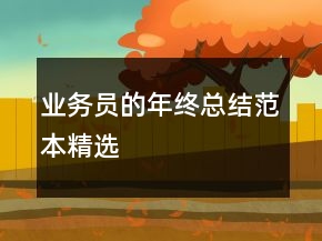 业务员的年终总结范本精选