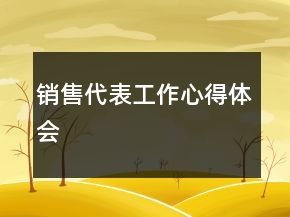 销售代表工作心得体会