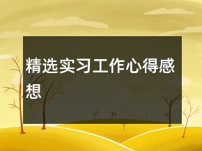 精选实习工作心得感想