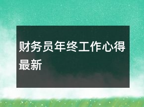 财务员年终工作心得最新