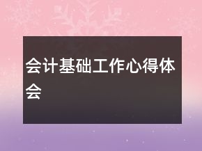 会计基础工作心得体会