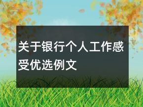 关于银行个人工作感受优选例文