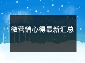 微营销心得最新汇总