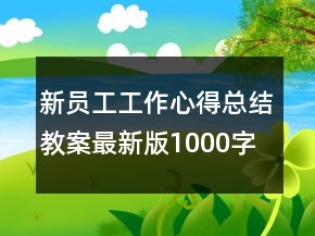 新员工工作心得总结教案最新版1000字