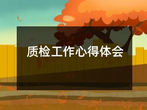 质检工作心得体会