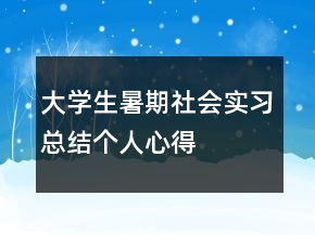 大学生暑期社会实习总结个人心得