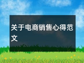 关于电商销售心得范文