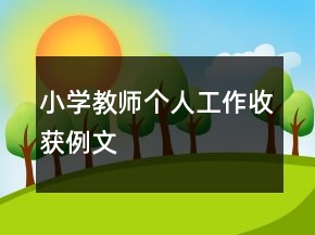 小学教师个人工作收获例文