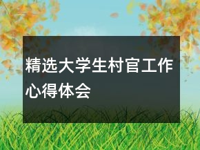 精选大学生村官工作心得体会