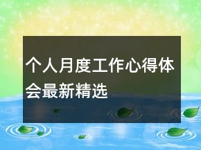 个人月度工作心得体会最新精选