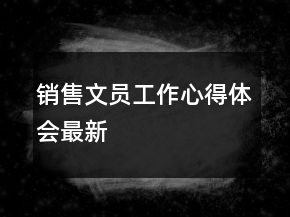 销售文员工作心得体会最新