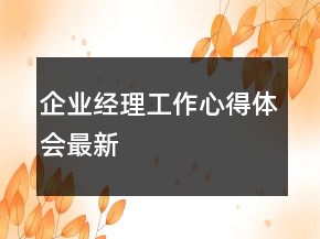 企业经理工作心得体会最新