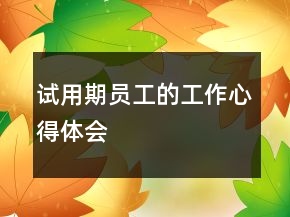 试用期员工的工作心得体会