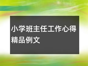 小学班主任工作心得精品例文