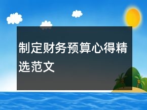 制定财务预算心得精选范文