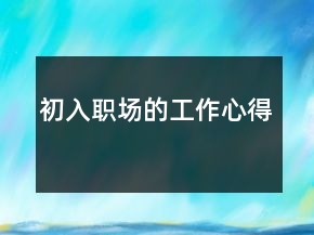 初入职场的工作心得
