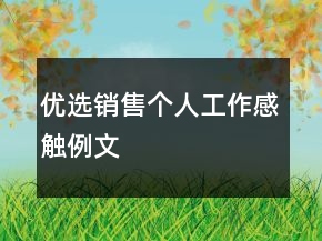 优选销售个人工作感触例文