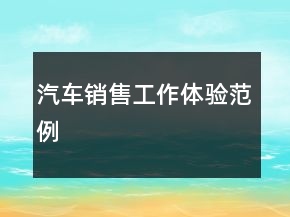 汽车销售工作体验范例