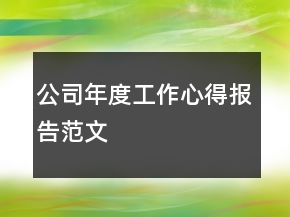 公司年度工作心得报告范文
