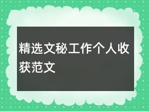 精选文秘工作个人收获范文