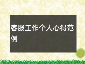 客服工作个人心得范例