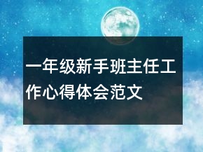一年级新手班主任工作心得体会范文